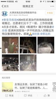 娱乐圈爆料流浪狗是谁啊,流浪狗身份揭秘! 第3张 娱乐圈爆料流浪狗是谁啊,流浪狗身份揭秘! 第3张