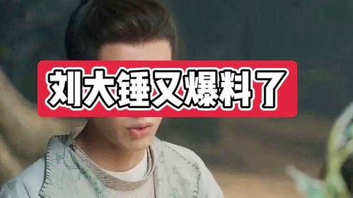 刘大锤爆料娱乐圈小说,娱乐圈幕后风云录  第2张