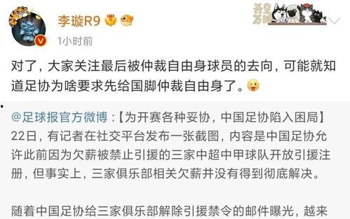 李璇爆料陈戌源视频播放,真相与争议并存  第1张